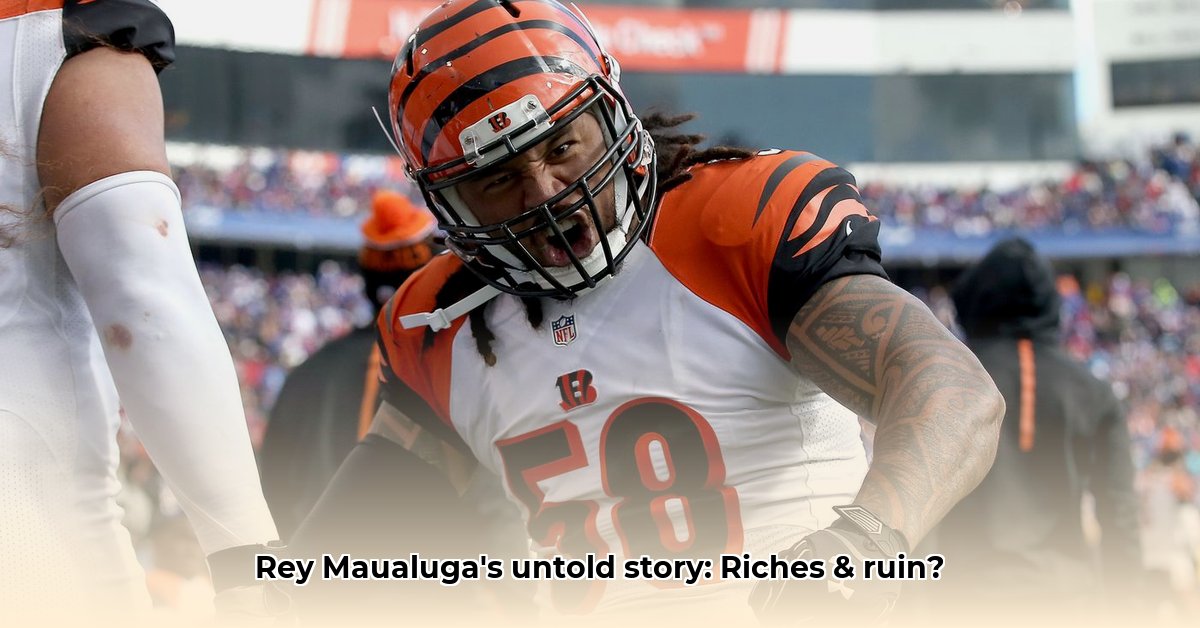 rey-maualuga-net-worth